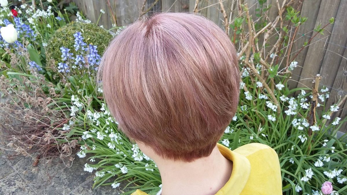 Back view of a soft pastel-toned bob